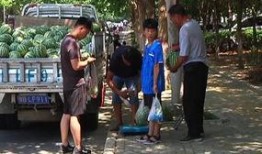 襄城县吃瓜群众事件视频,网络围观下的社会现象解析