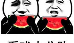 吃瓜熊打架视频大全,吃瓜熊打架视频大全盘点