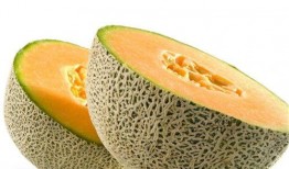 哈密瓜小母鸡可以吃吗视频,探索新型宠物饮食搭配