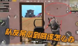 吃鸡呆瓜教学视频全集下载,新手入门必备攻略解析