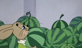 吃瓜中的酷拉视频,吃瓜群众的娱乐盛宴