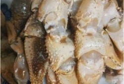 寄居蟹可以吃青皮瓜吗视频,揭秘青皮瓜的奇妙滋味