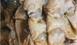 寄居蟹可以吃青皮瓜吗视频,揭秘青皮瓜的奇妙滋味