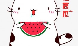 猫咪吃瓜可爱视频,萌态十足，可爱指数爆表！