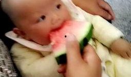小娃娃吃瓜视频,萌娃趣味瞬间，萌态可掬引网友热议