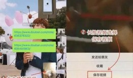 快手上的吃瓜江湖视频怎么下载,揭秘热门视频幕后制作过程