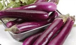 茄子吃瓜鬼畜视频下载免费,免费下载，笑料横生的网络狂欢