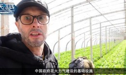 英国时尚博主吃瓜视频,吃瓜视频背后的时尚圈风云