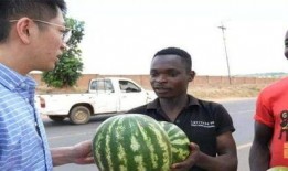 美国吃瓜的视频,美国吃瓜群众视角下的社会百态