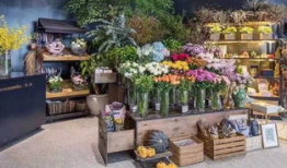 唐山花店事件吃瓜视频,一场网络热议的吃瓜视频揭秘