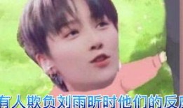 我是小刘弟吃瓜视频全集,揭秘娱乐圈幕后故事