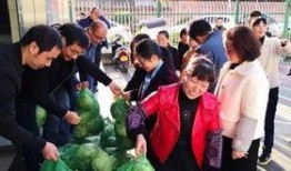 宁强县吃瓜群众事件视频,一场网络舆论的风暴与反思