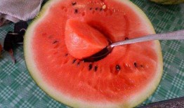 日本人吃中国沙白瓜视频,中国沙白瓜，口感独特，美味诱人！