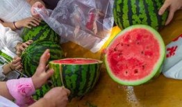 国外吃瓜视频大全,揭秘国外吃瓜视频大全