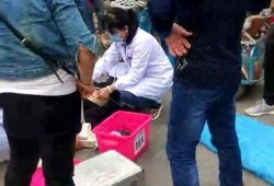 吃瓜现场配图大全图片视频