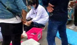 吃瓜现场配图大全图片视频