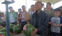 海阳吃瓜群众事件视频曝光,视频曝光揭示惊人真相