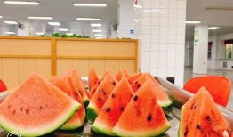 酣畅淋漓 吃瓜视频,揭秘吃瓜视频背后的娱乐盛宴