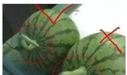 看吃瓜视频有什么危害