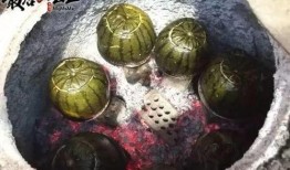 夜市吃红瓜视频,红瓜美食之旅，尽享地道风味