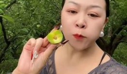 吃瓜网红赵一菲视频大全,揭秘网红圈幕后故事