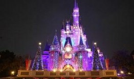 上海迪士尼吃瓜事件视频,一场引发热议的美食争议