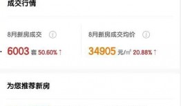 吃瓜房产销售下架视频