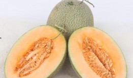 吃哈密瓜美食博主视频,博主带你领略瓜中佳肴的魅力