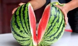 西瓜视频老人吃瓜