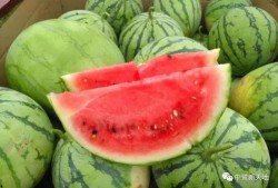 莱州今日吃瓜爆料视频,视频揭秘惊人内幕