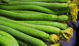 吃绞瓜对身体有害吗视频,吃绞瓜对身体有害吗？