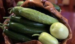 日照吃瓜原视频,一场夏日狂欢的视觉盛宴