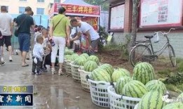 成都沙河事件吃瓜视频,网络热议背后的真相揭秘