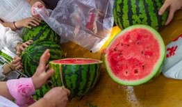 吃瓜视频最精彩的,揭秘娱乐圈最精彩瞬间