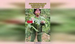 越南老表吃瓜视频播放,揭秘东南亚独特美食文化