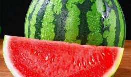 圈内吃瓜真假鉴别视频,真假信息辨析指南