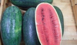 推特网红黑料吃瓜视频免费观看,免费观看吃瓜视频背后的真相！”