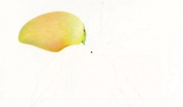 吃瓜视频画画教程大全,轻松掌握绘画技巧