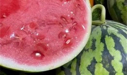 峰哥吃麒麟瓜视频大全,视频大全揭秘夏日美味之旅