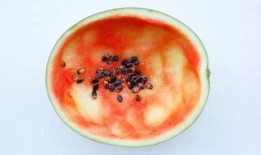 勺子吃瓜技巧视频大全,勺子吃瓜技巧视频大全解析