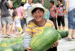 邢台沙河吃瓜事件视频最新,真相揭秘与网络舆论漩涡