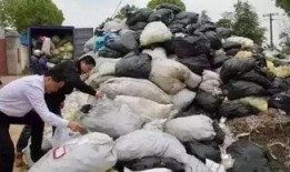 番禺区吃瓜事件视频曝光,一场引发热议的社区冲突瞬间