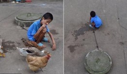 什么瓜不能喂鸡鸭吃呢视频,哪些瓜类不宜喂食鸡鸭，避免健康风险