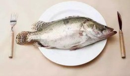 腐烂的瓜能给鱼吃嘛视频,鱼儿餐桌上的“美味”之谜