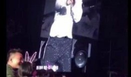 香港演唱会 吃瓜视频,吃瓜观众捕捉精彩瞬间