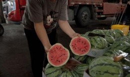 长垣市吃瓜事件视频,一场引发热议的网络视频风波