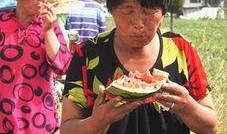 云南老太太吃瓜视频播放,瓜界“老戏骨”