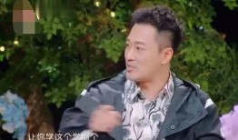 林峰综艺吃瓜事件视频完整版,揭秘完整版视频背后的真相与争议