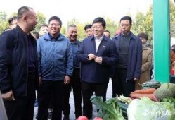 县委书记吃瓜视频大全集,揭秘官场趣闻背后的真相