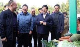 县委书记吃瓜视频大全集,揭秘官场趣闻背后的真相